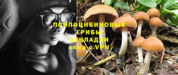 МДПВ Зеленодольск