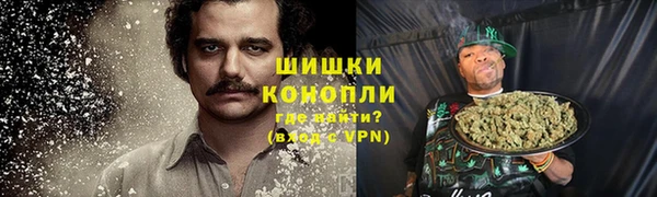 бошки Заводоуковск