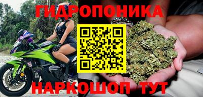 ешки Бийск