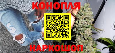 ешки Бийск