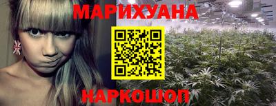 ешки Бийск