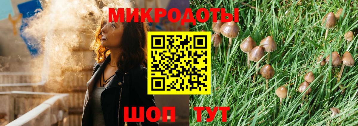 Димитровград  Псилоцибиновые грибы Cubensis  Галлюциногенные грибы Psilocybe  наркошоп  Вход с VPN 