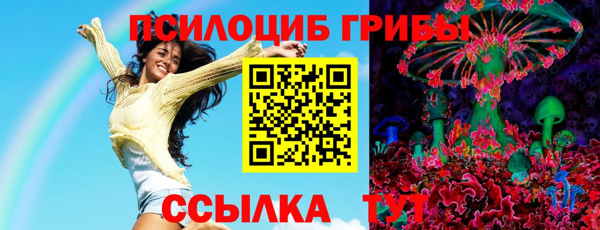 Псилоцибиновые грибы Psilocybine cubensis Димитровград