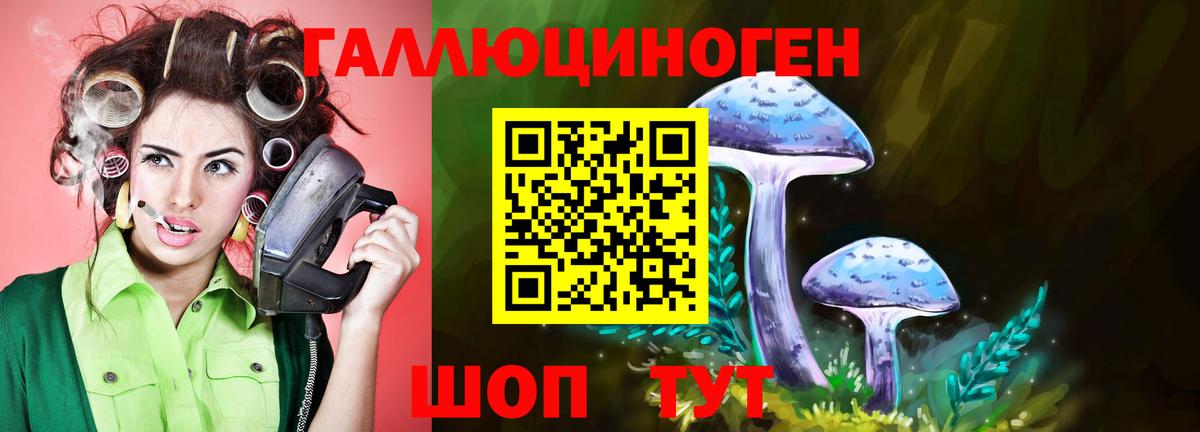 Галлюциногенные грибы ЛСД  Димитровград 